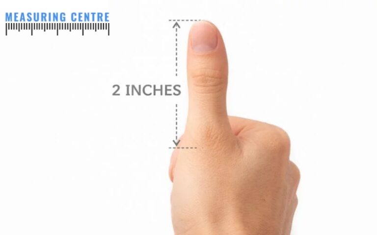 How Long Is 2 Inches