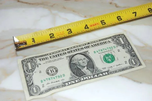8 Inches vs a Dollar Bill