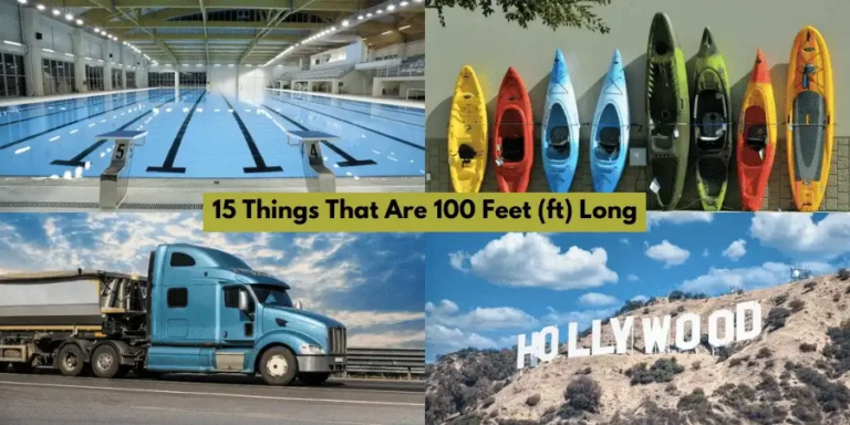 how big is 100 feet