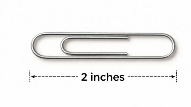 1. A Standard Paperclip
