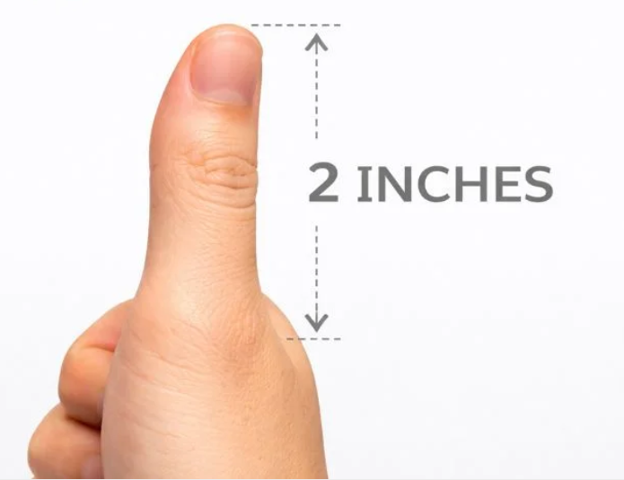 8. The Length of a Thumb (Adult Average)