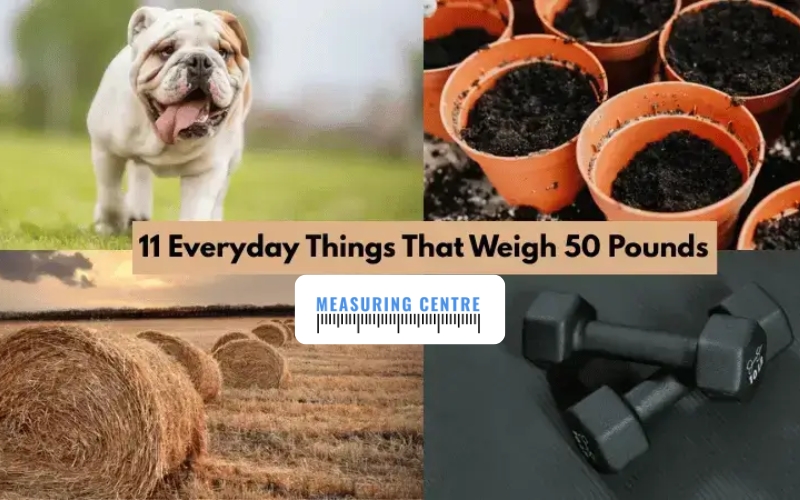 How Heavy is 50 LBS