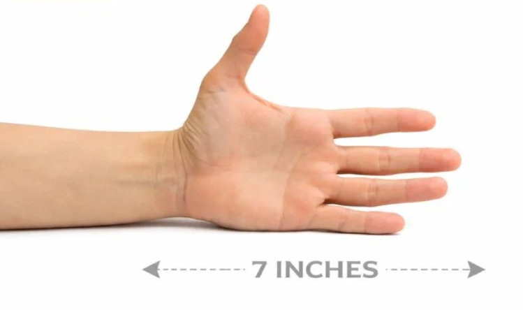 4. Adult Hand Span (Thumb to Pinky)